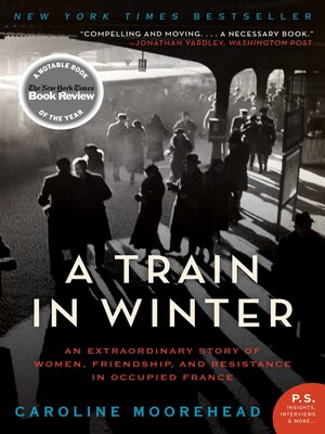 cover image of A Train in Winter